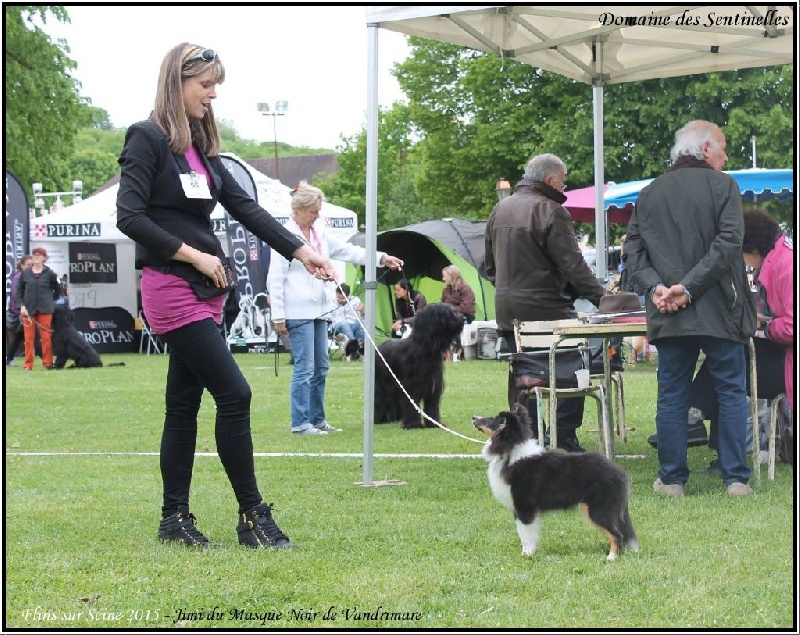 FLINS SUR SEINE (78) Exposition Canine Nationale le 8 mai 2015