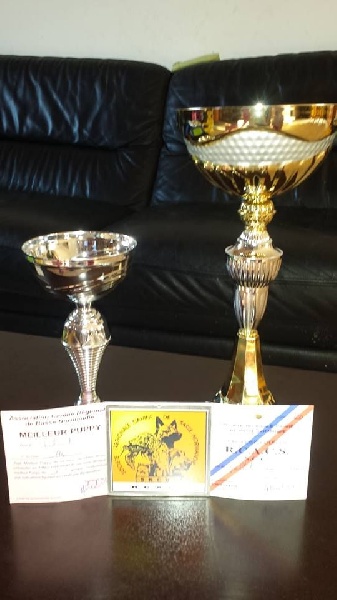 MALTOT (14) Exposition Canine Internationale le 14 Juillet 2015