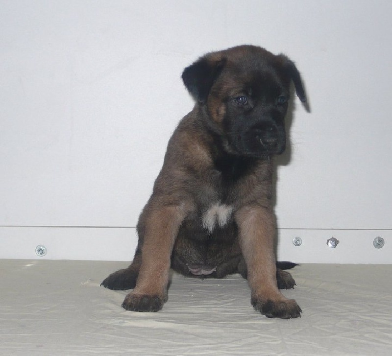 Photos
